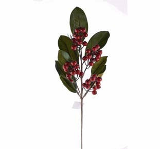 Rama Berry LVS rojo spray