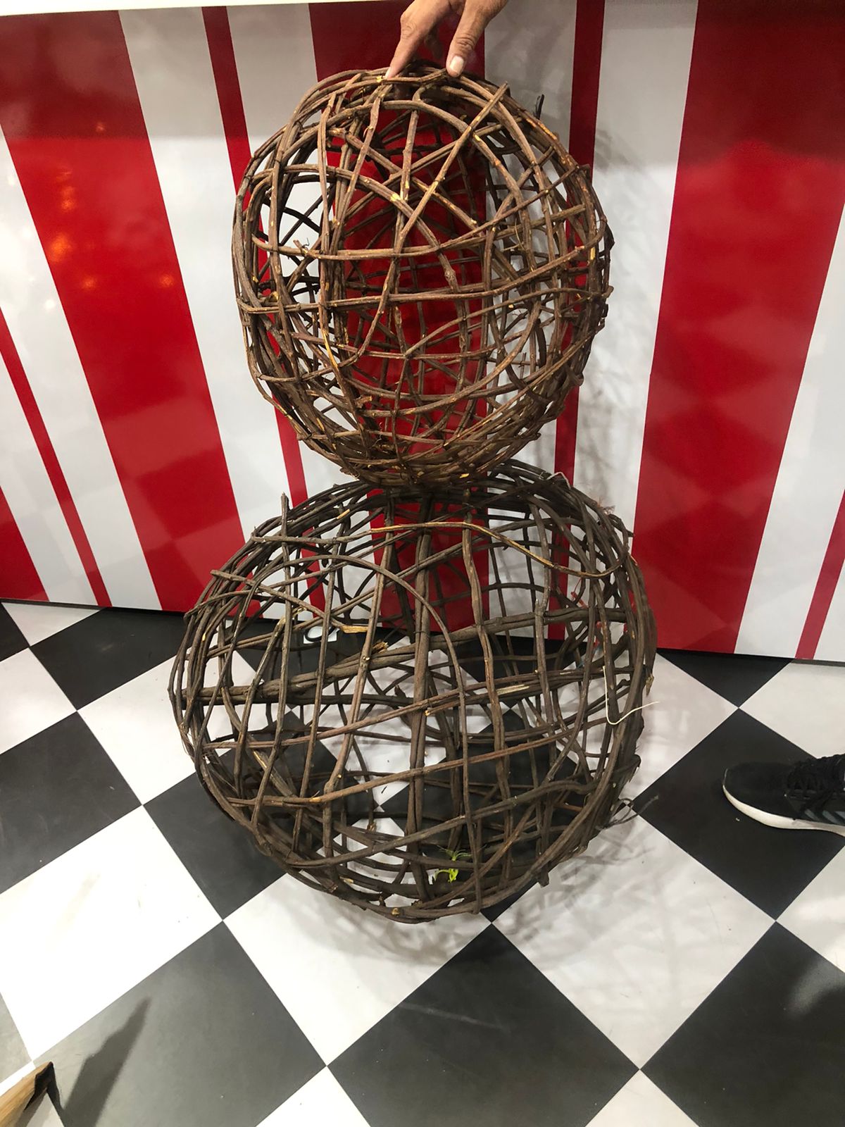 Esfera raíces parra