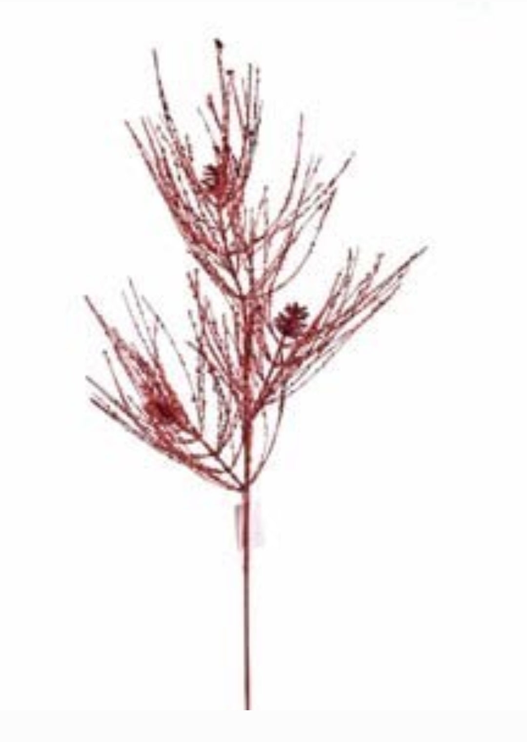 Rama con mini Piñón Rojo