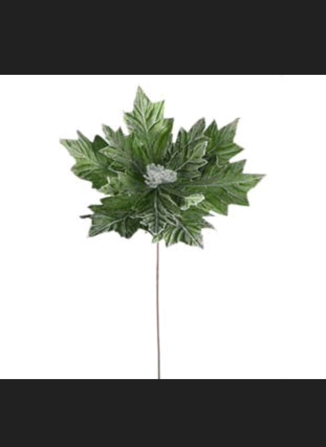 Rama Nochebuena Verde