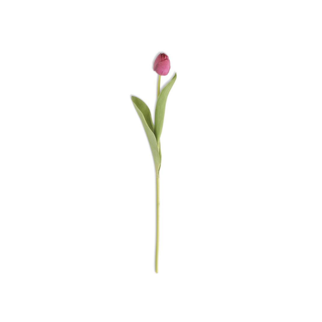 Tulipan Fucsia Real Touch