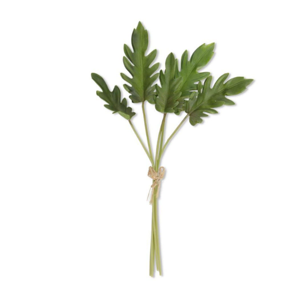 Philodendron Ramo 19"