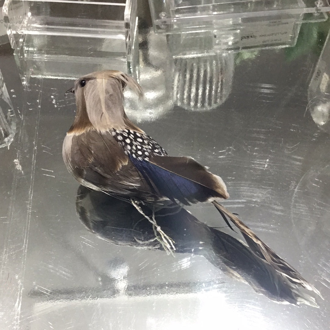 Cardenal decorativo con clip natural