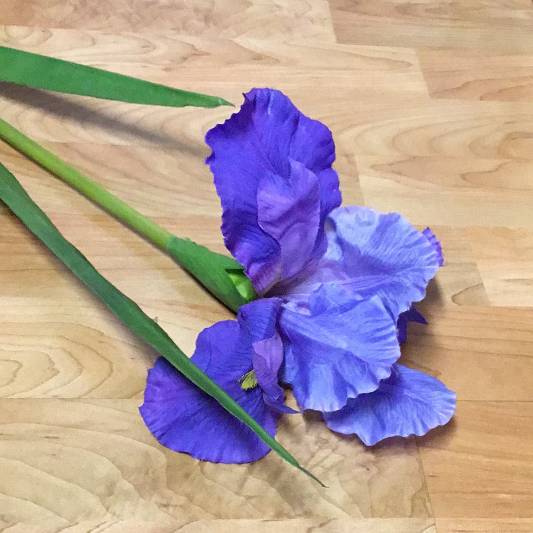 IRIS BLUE