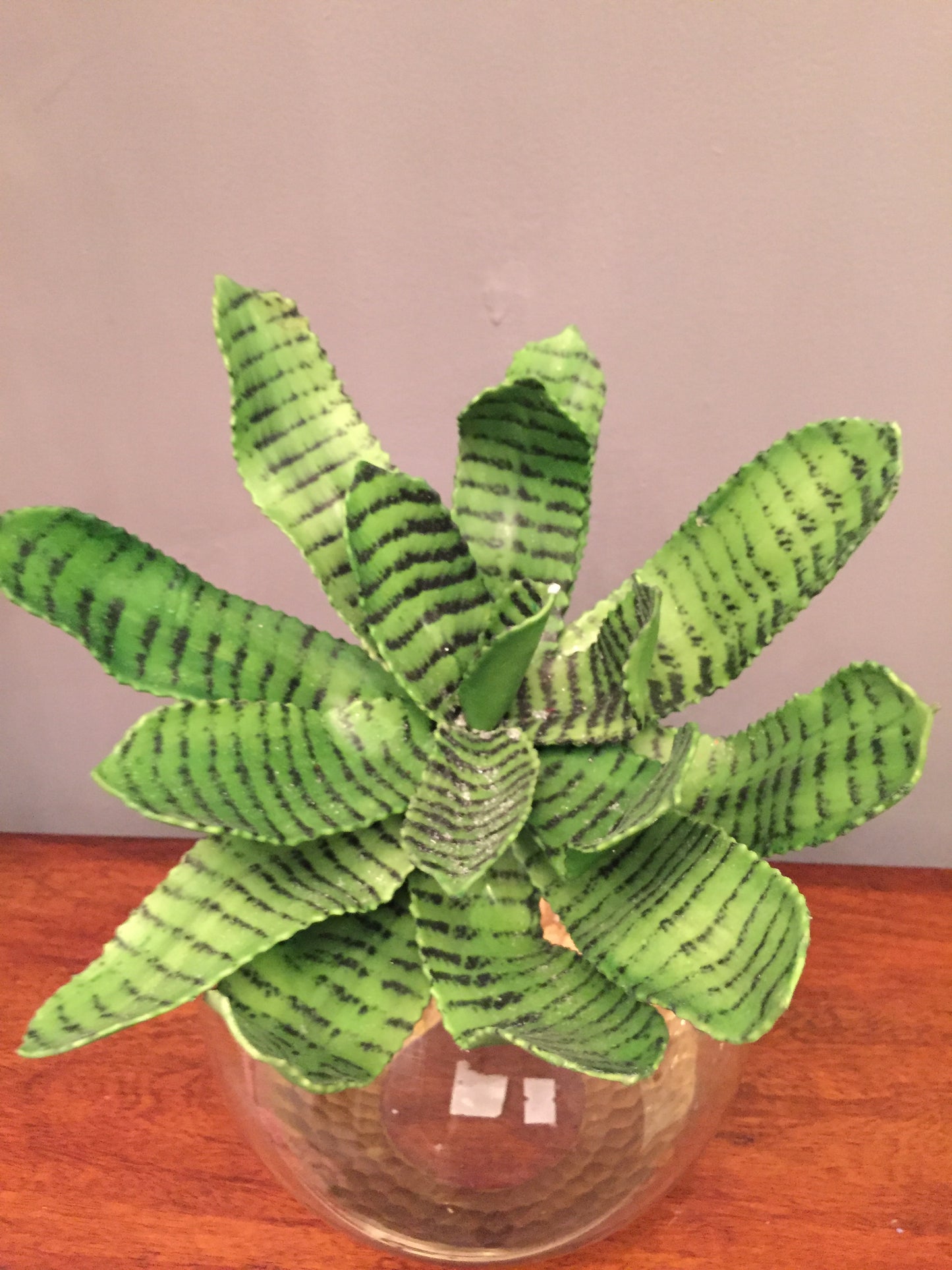 Planta artificial Suculenta (varios tipos y colores disponibles)