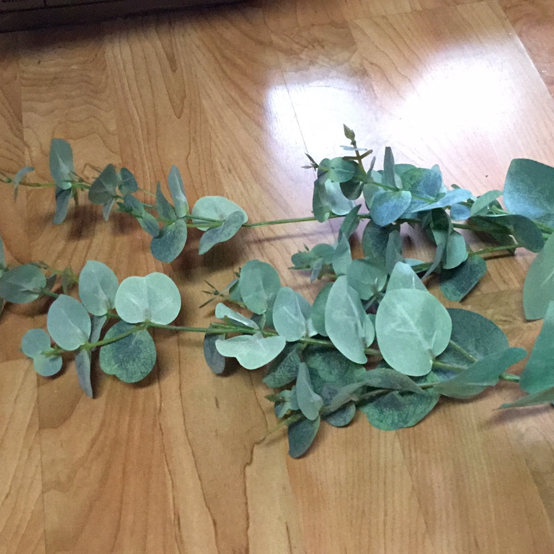 Eucalipto (Individual)