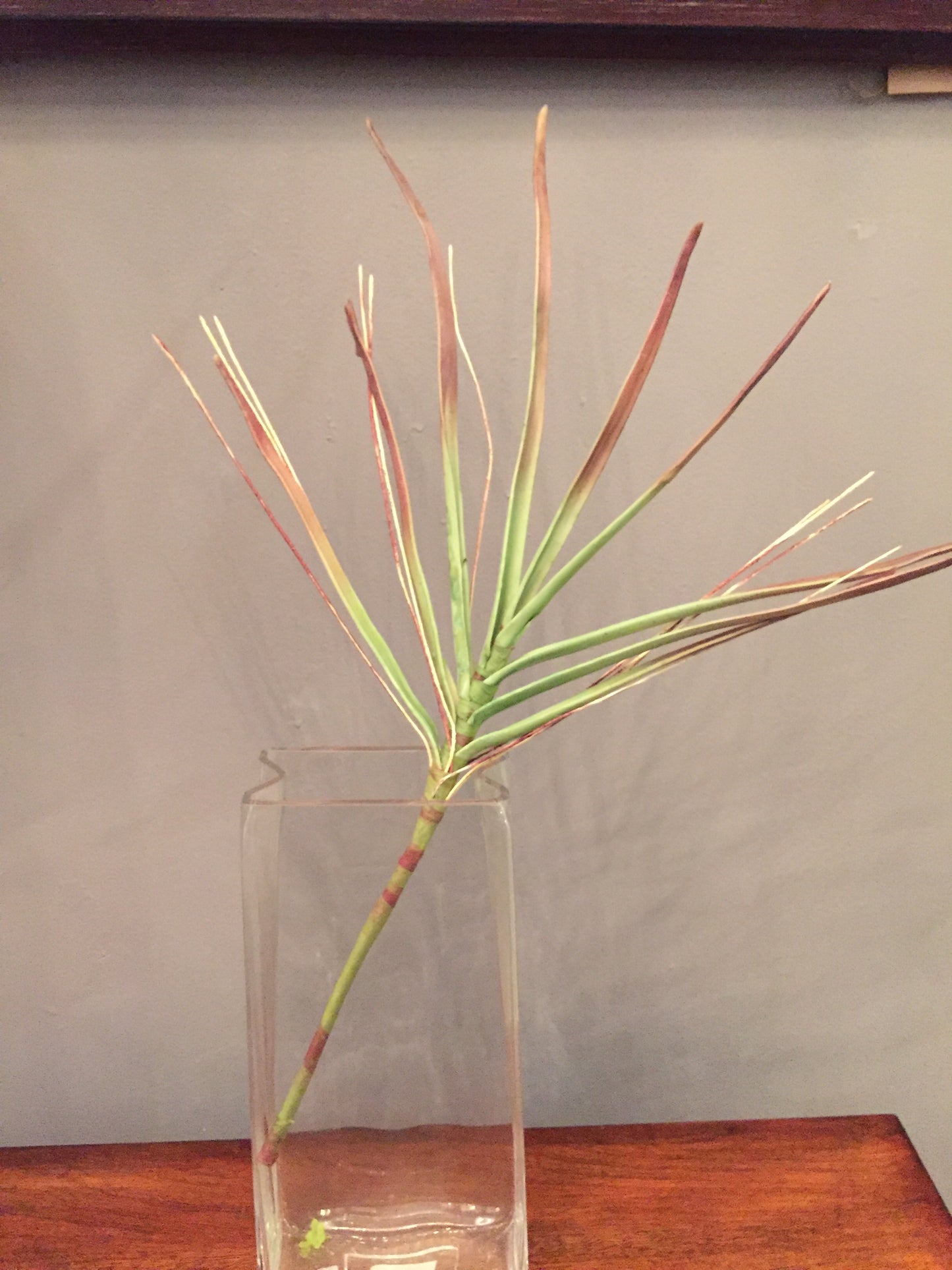 Follaje artificial tipo Planta de Hierva (por pieza)