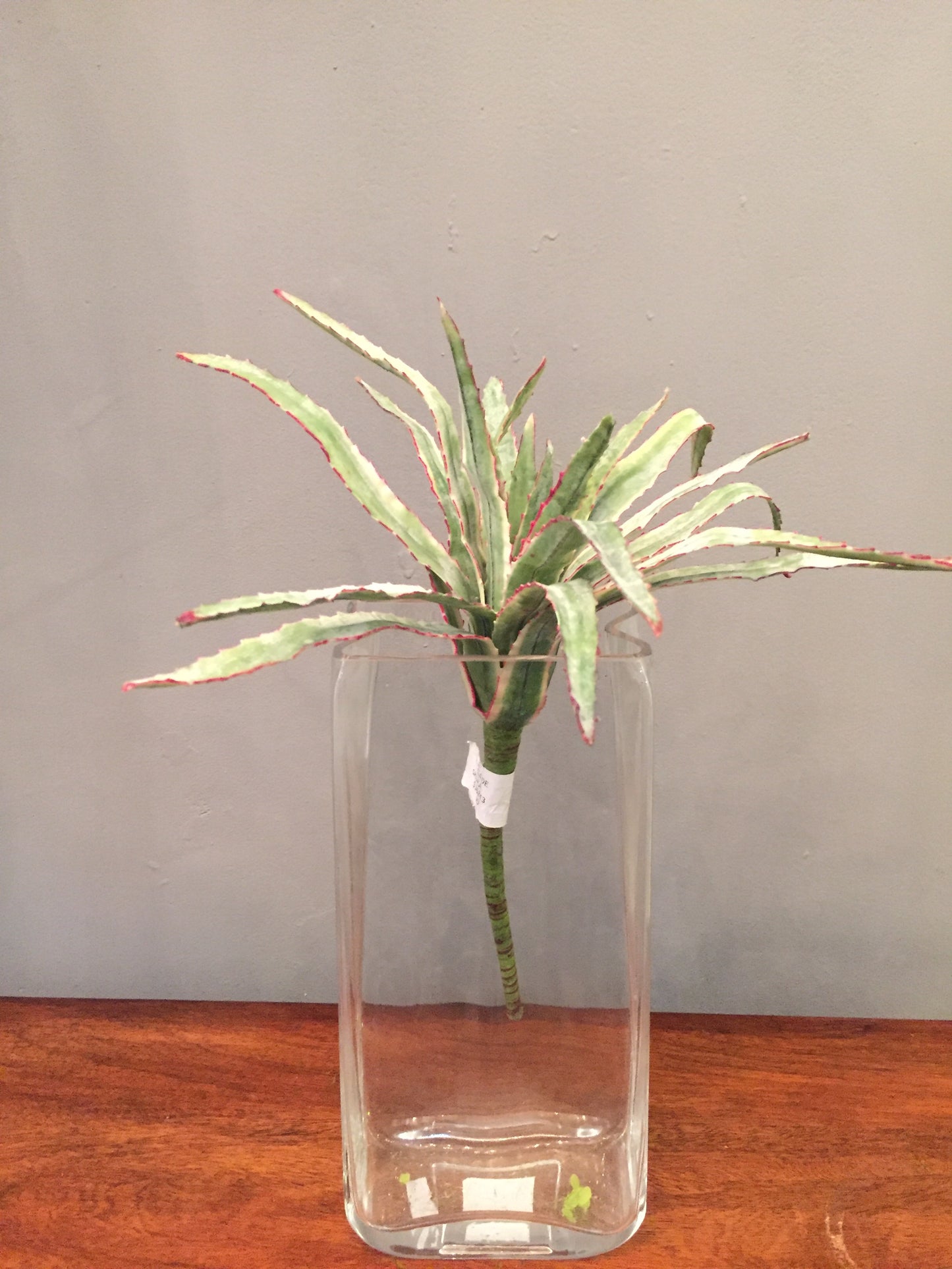 Follaje artificial tipo Planta de Savila (por pieza)