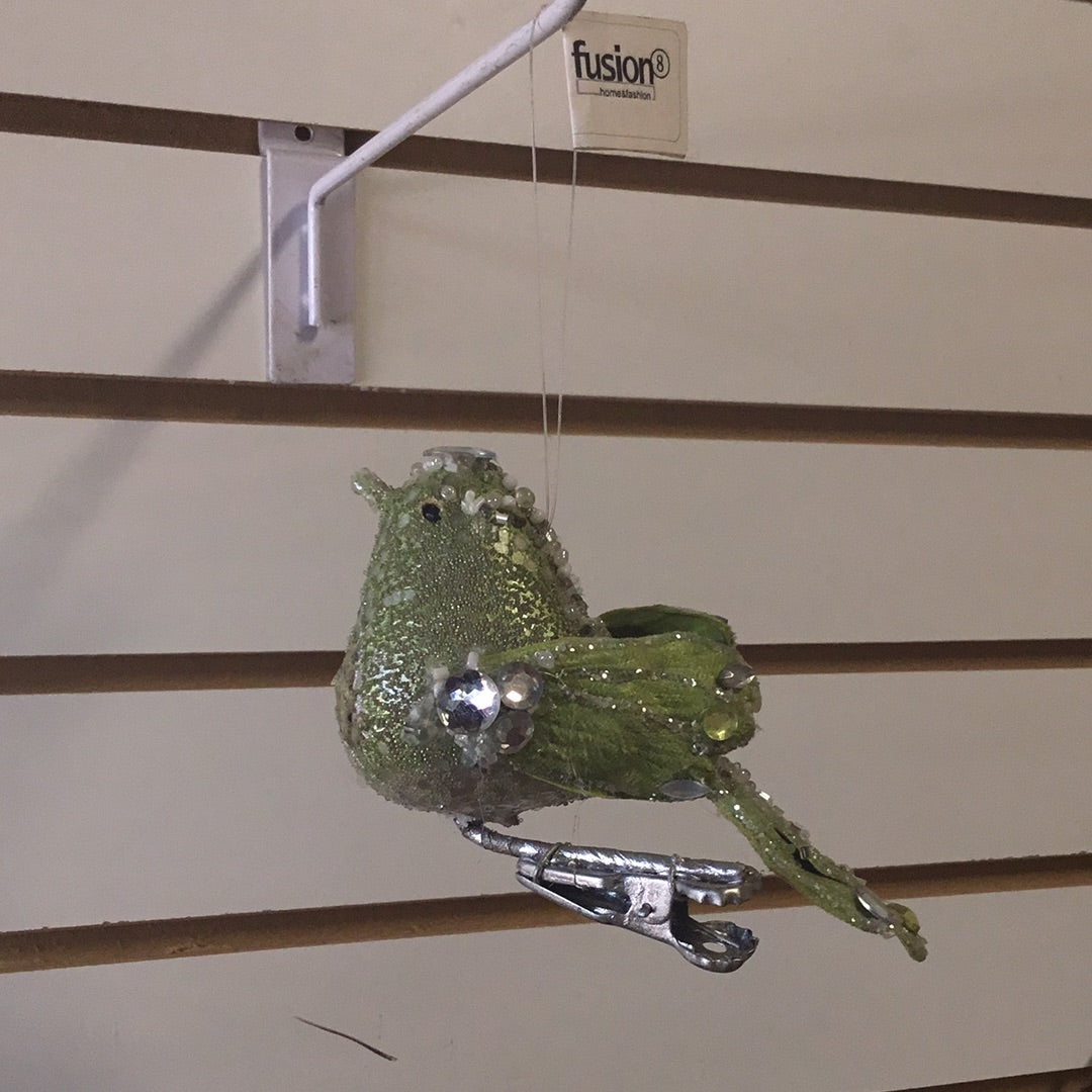 Pájaro verde con pinza