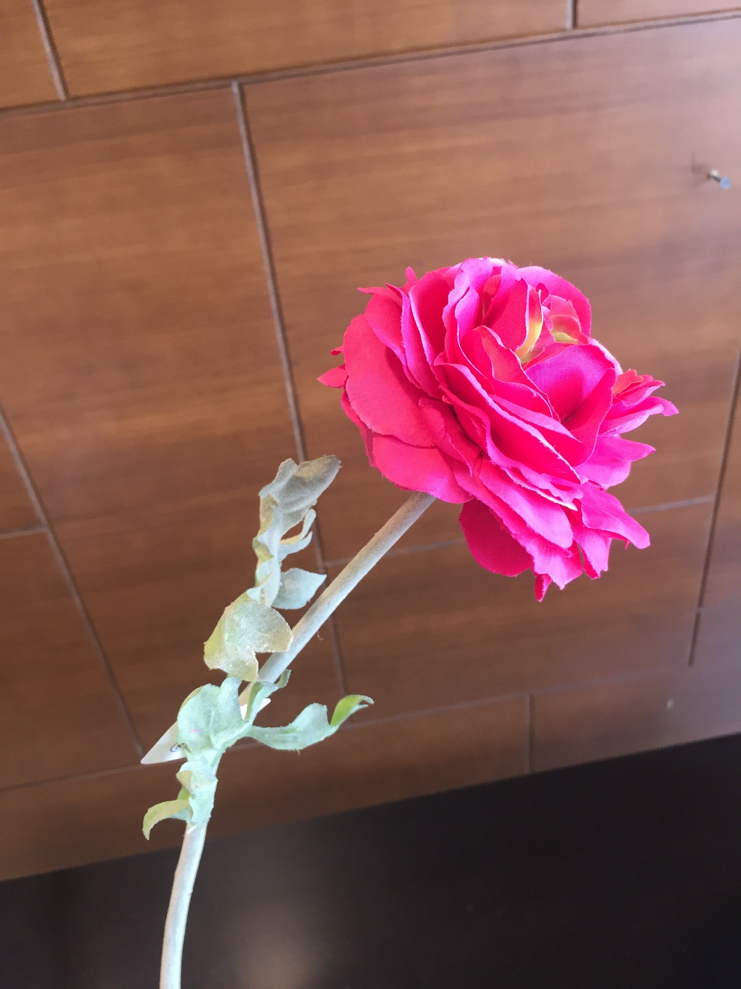 Ranúnculo Fucsia (por pieza)