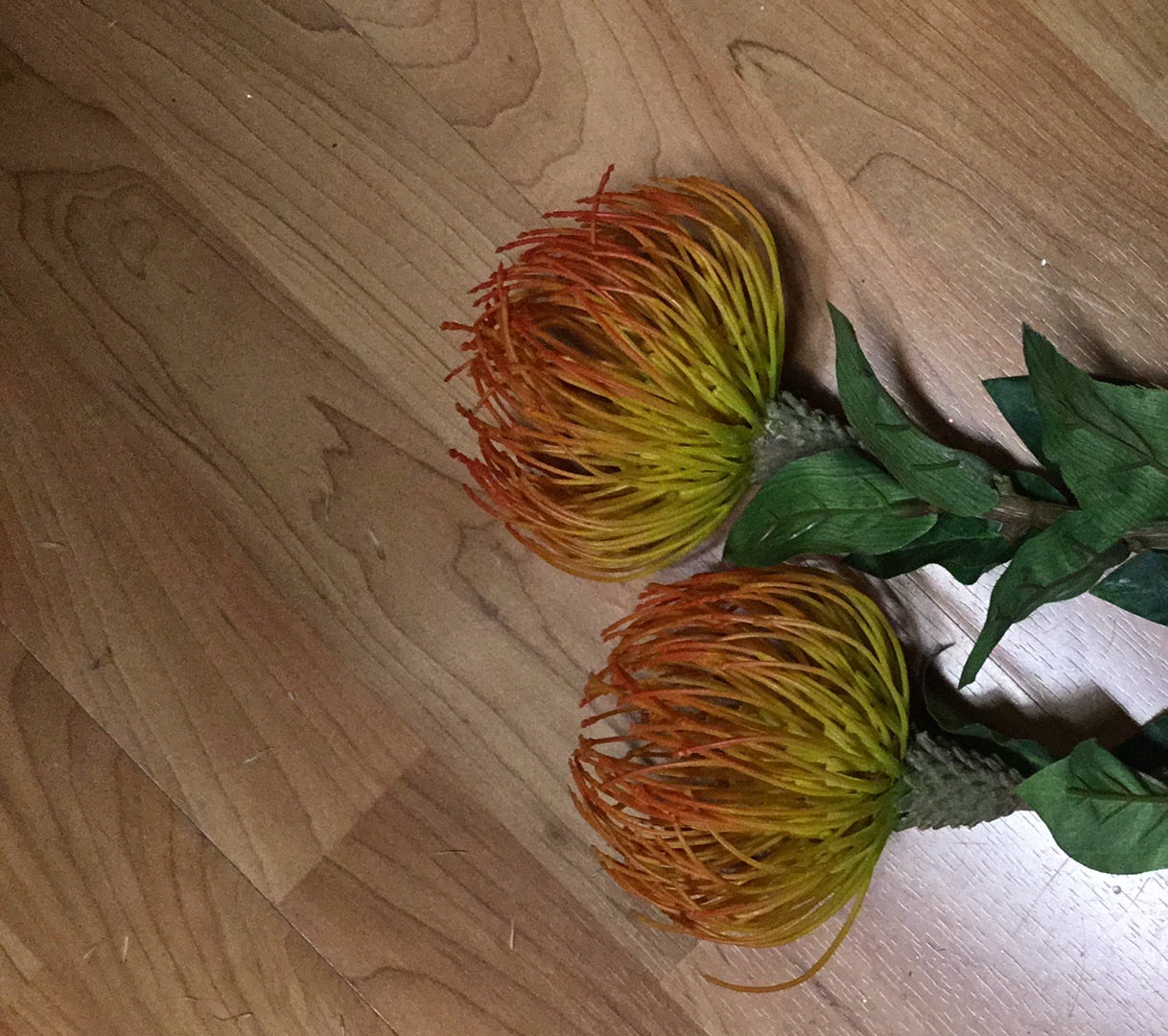 Flor de fuego redonda