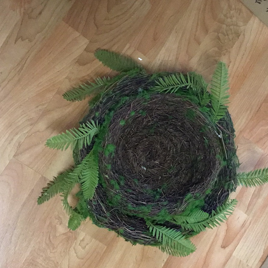 Set de nidos con musgo