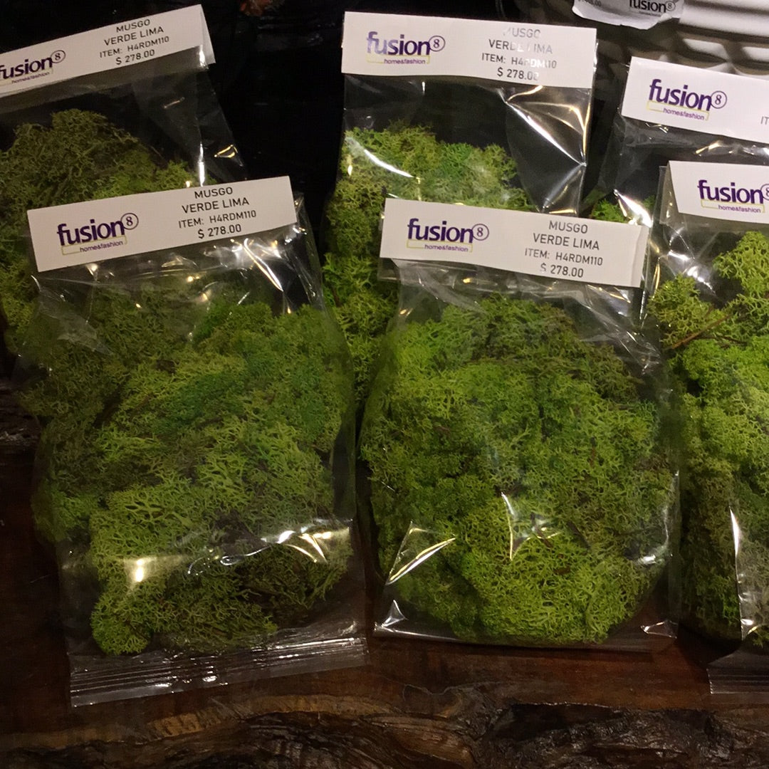 Musgo Verde lima