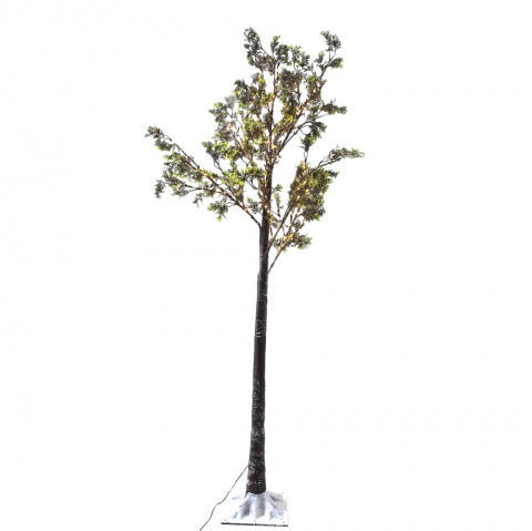 Pino Cedar C/ Luz 39"