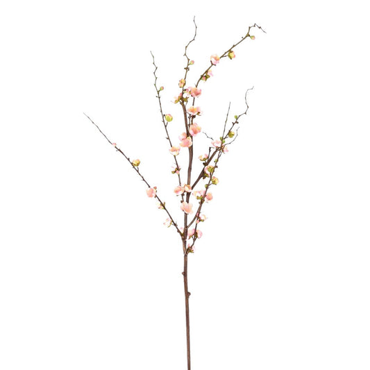Rama de Membrillo Rosa 51"
