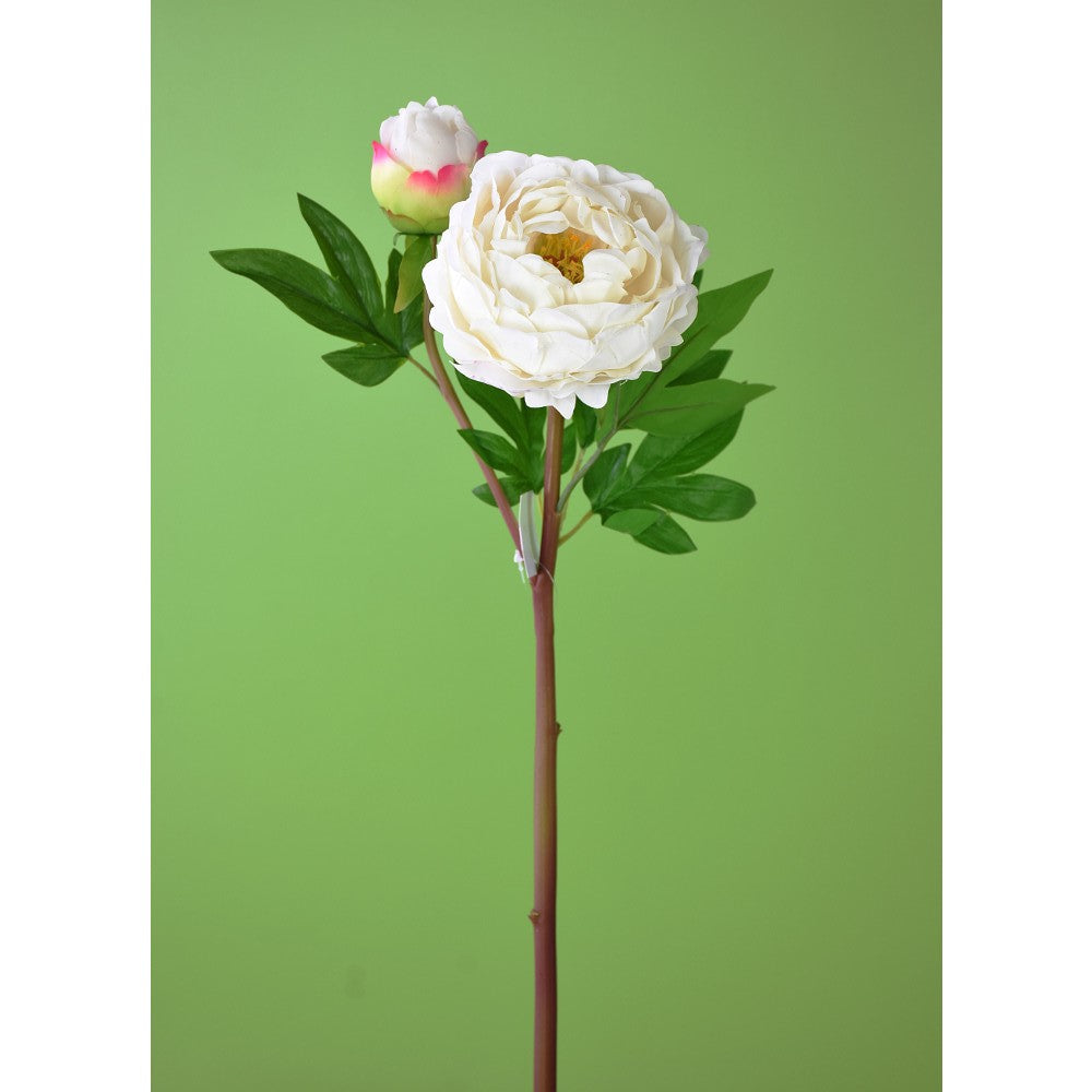 Peonia Blanca 26"
