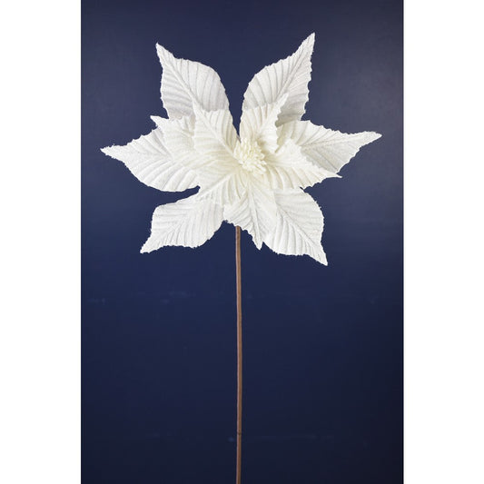 Nochebuena Blanca 24"