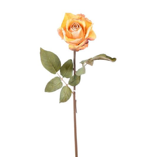 Rosa Seca Amarilla