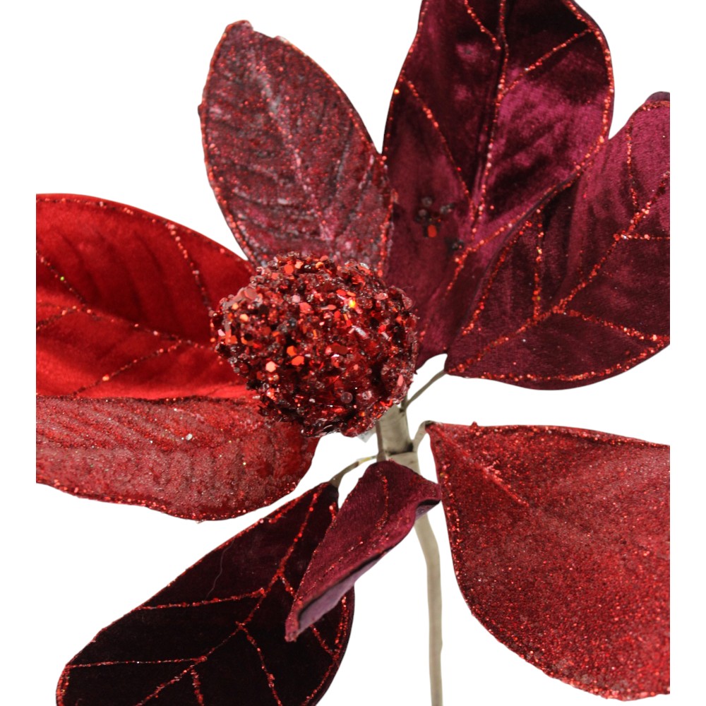 Capullo Magnolia Roja/Burgundy