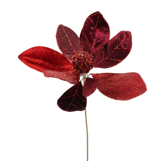 Capullo Magnolia Roja/Burgundy