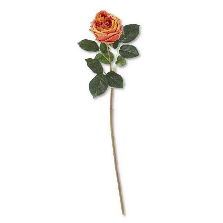 Rosa Naranja Real Touch