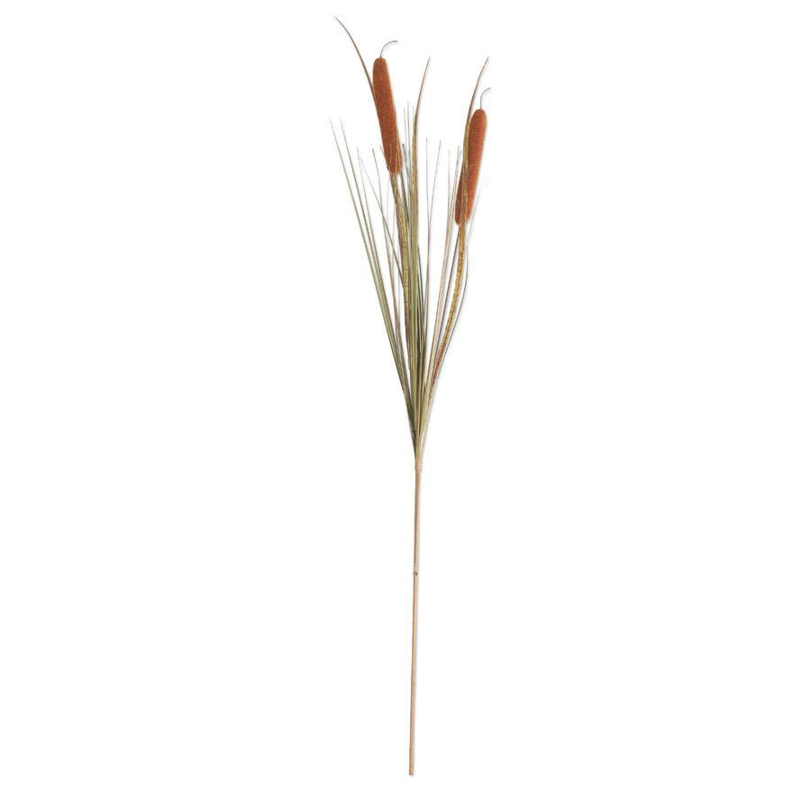 Espadaña Marrón 43"