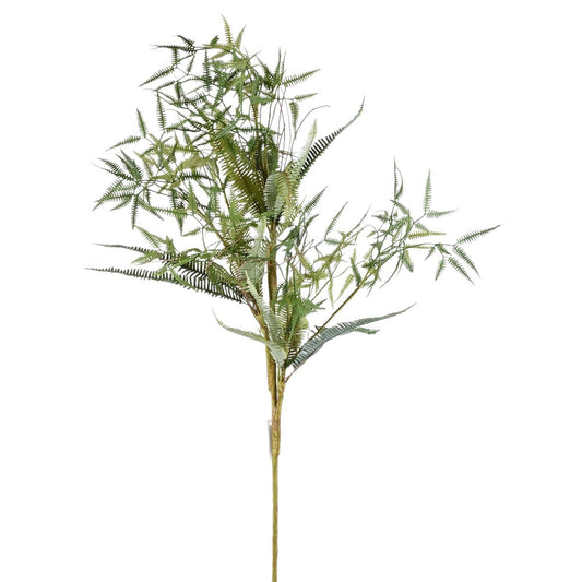 Rama Helecho 37"
