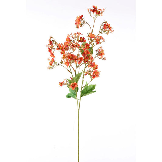 Flor en brote Naranja