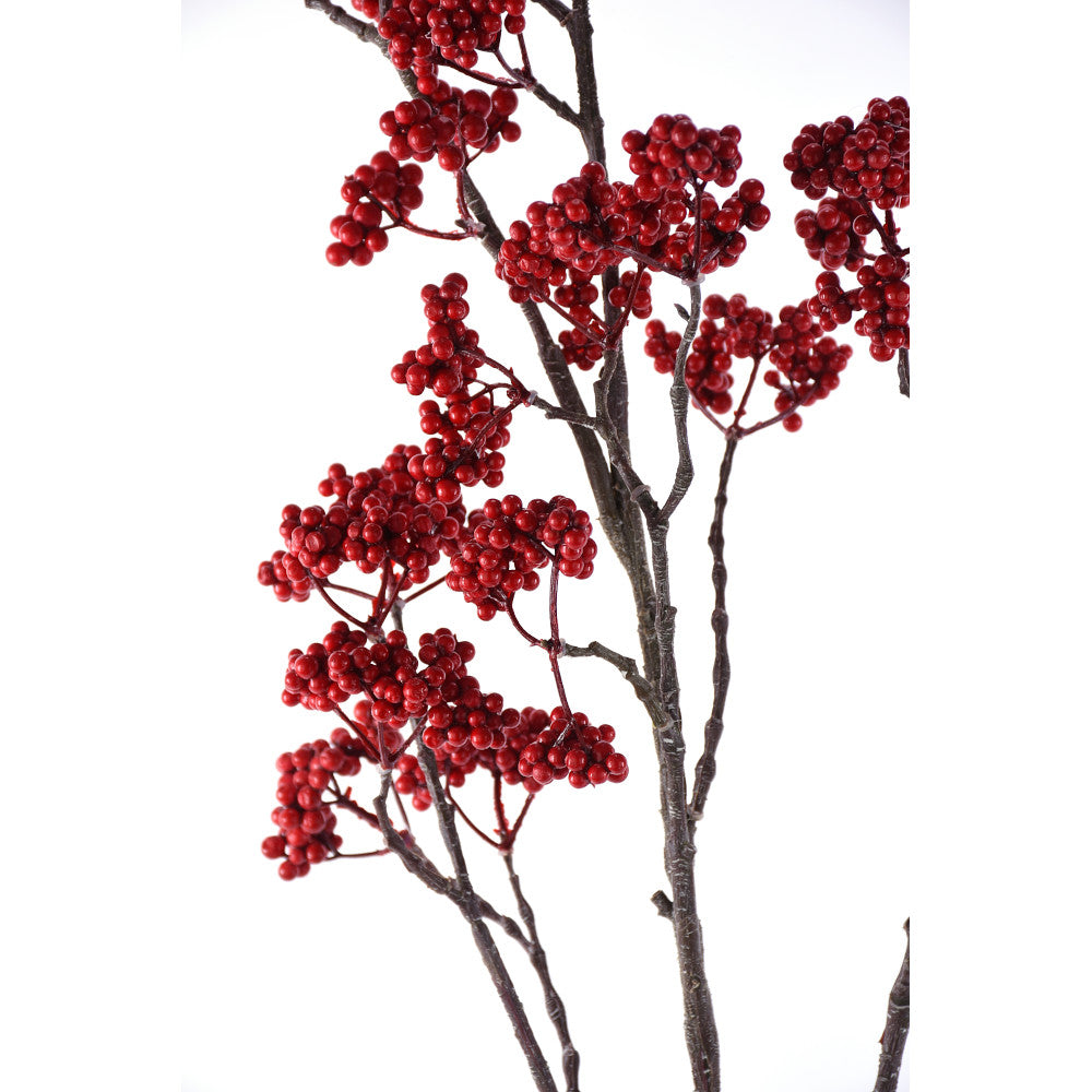 Vara Berry Roja