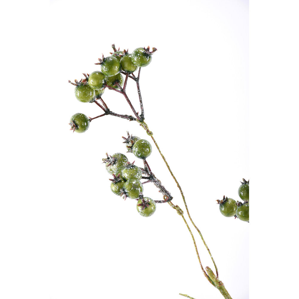 Vara Berry Verde