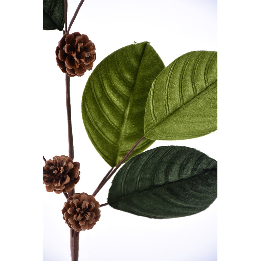 Hojas Terciopelo Verde
