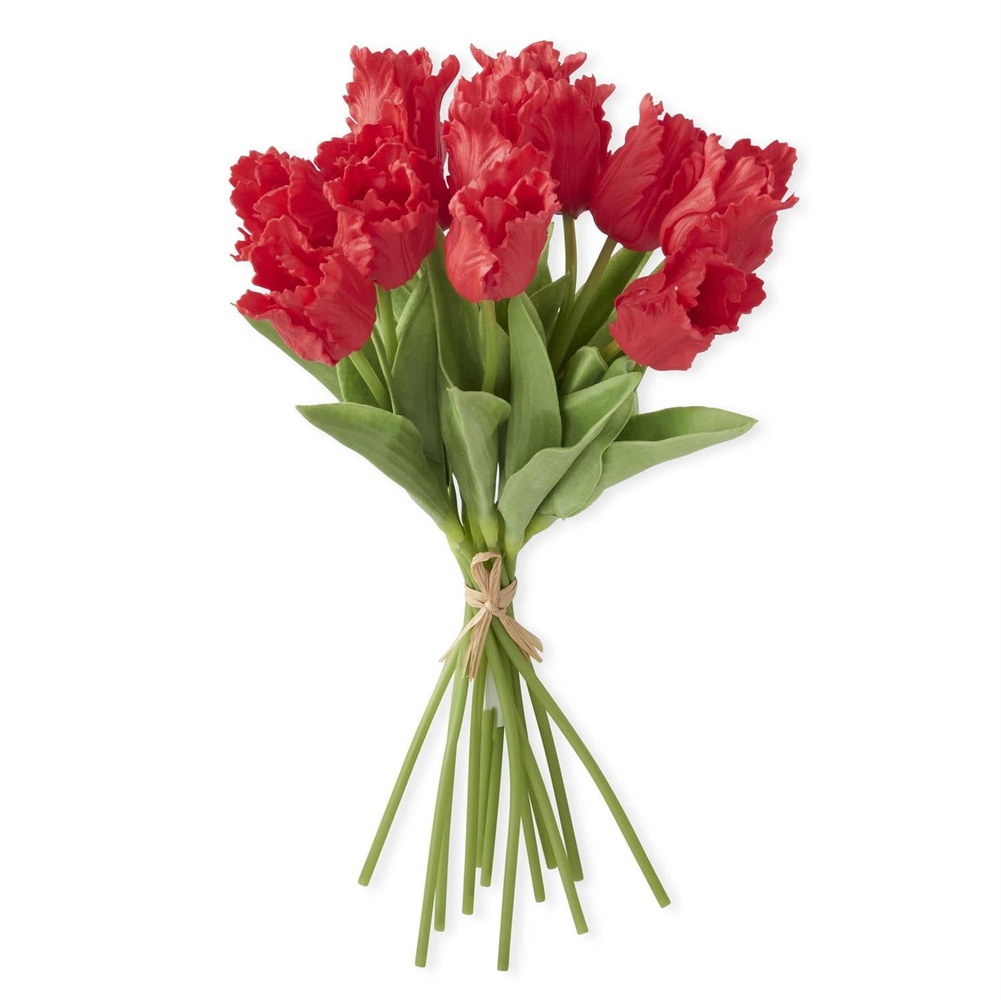 Ramo de Tulipanes Perico Rojo