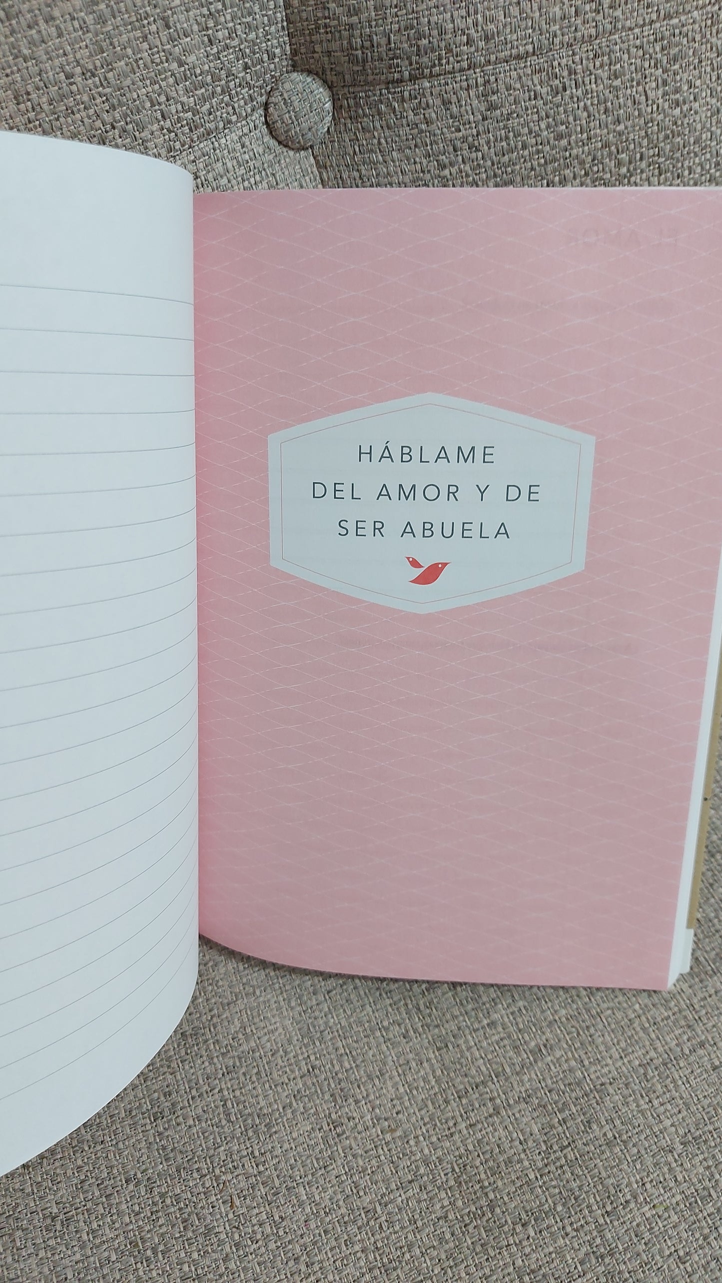 Abuela, cuéntame tu historia
