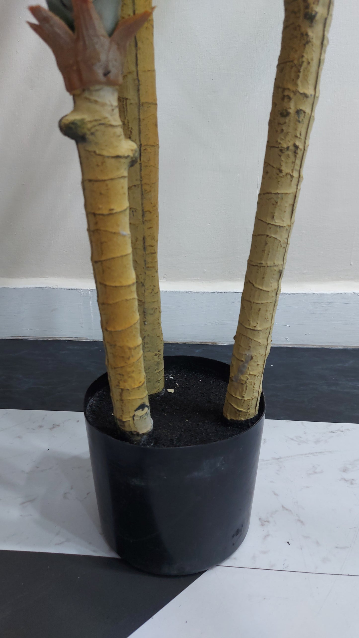 Yucca 180 cm