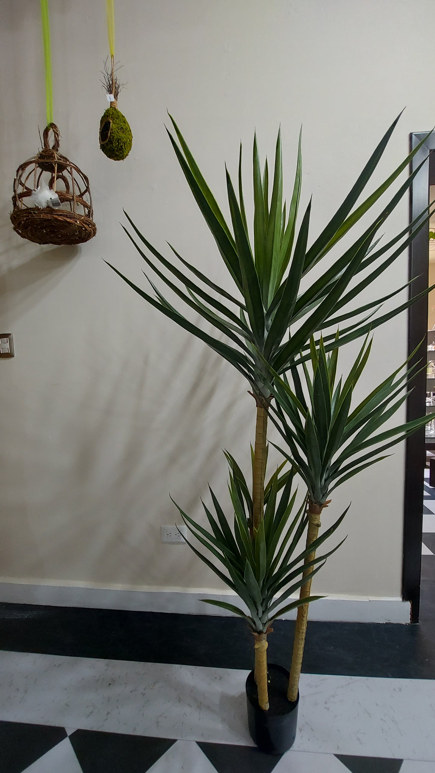 Yucca 180 cm