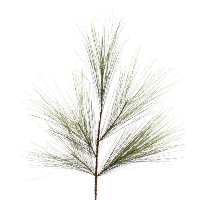 Vara Long Pine 34"