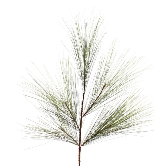 Vara Long Pine 34"