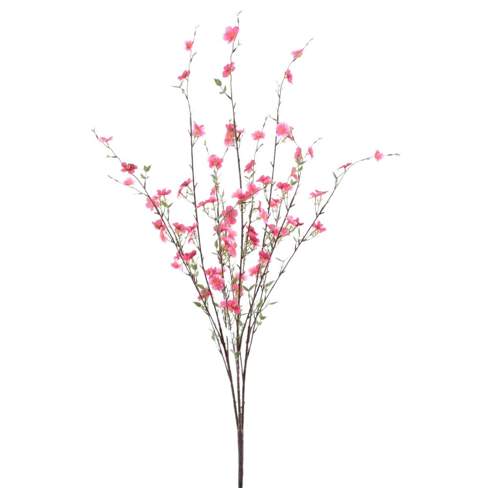 Blossom Branch X13