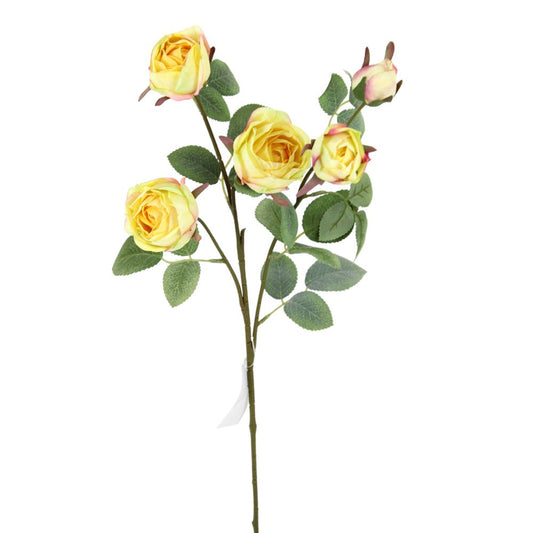 Rosa Amarilla