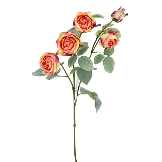Rosa Naranja