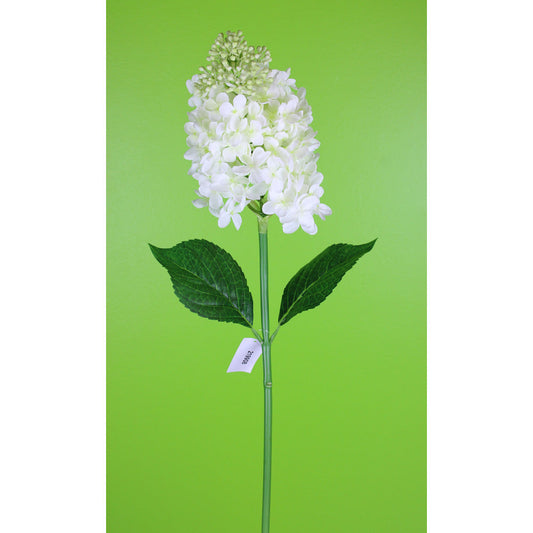 Hortensia Cono Crema