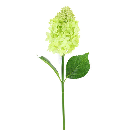 Hortensia Cono Verde