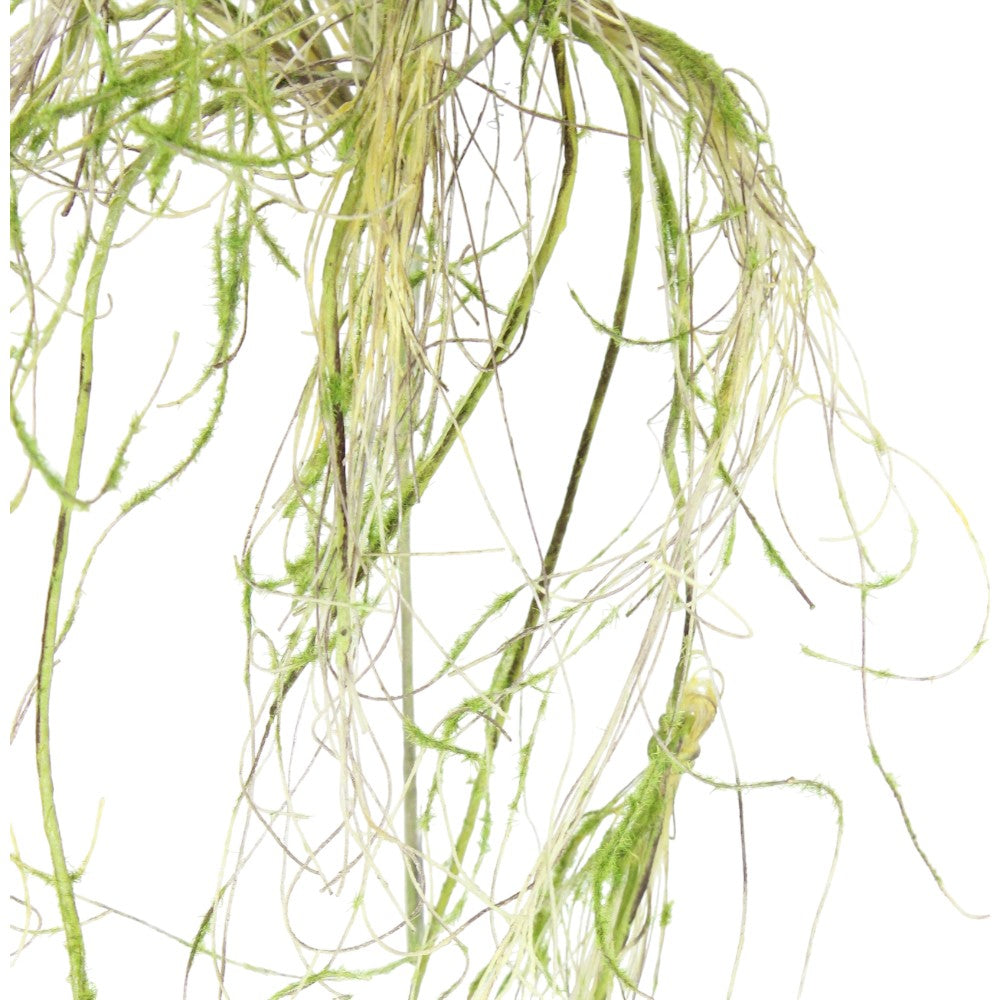 Willow Spray 39"