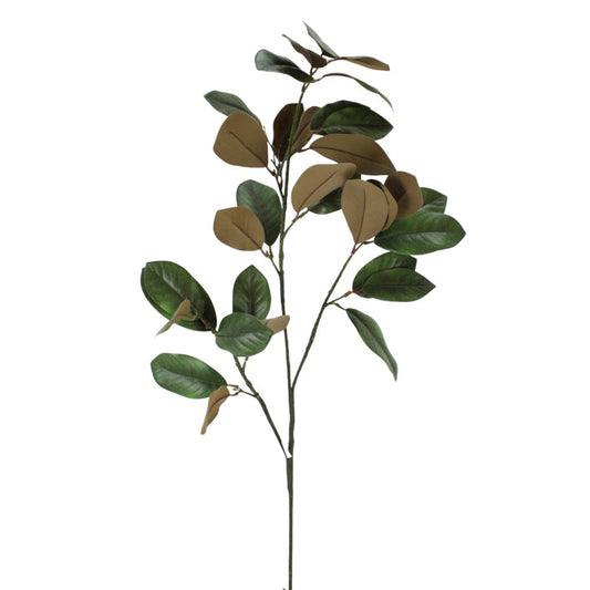 Magnolia 42"