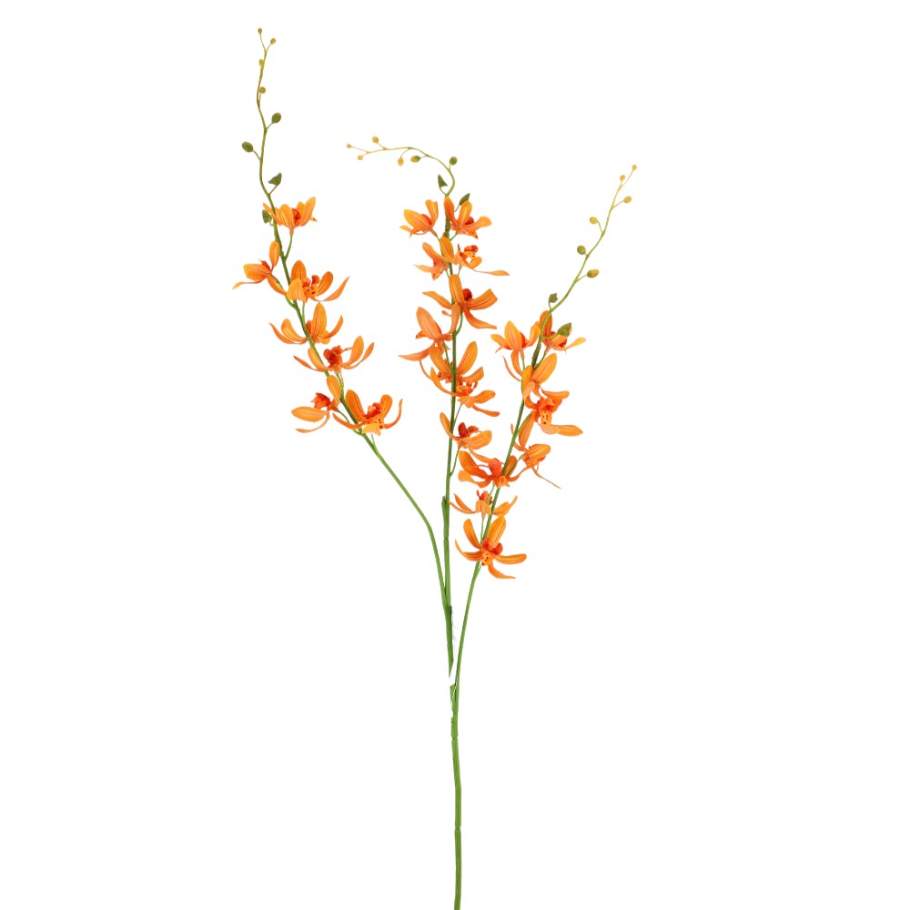 Orquidea Naranja China
