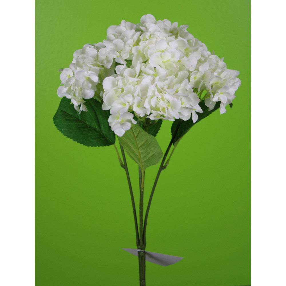 Hortensias Blanco X6