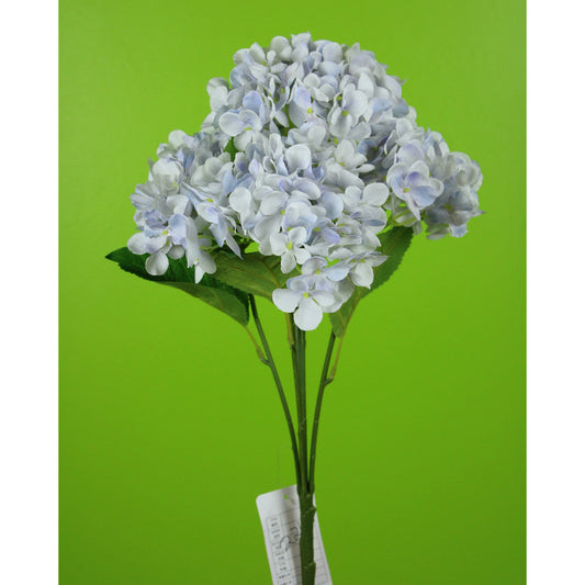 Hortensias Azul X6