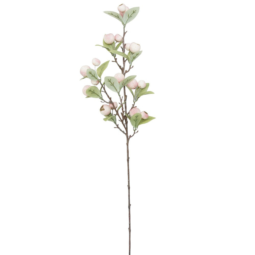Rama Berry Blanca