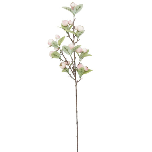 Rama Berry Blanca