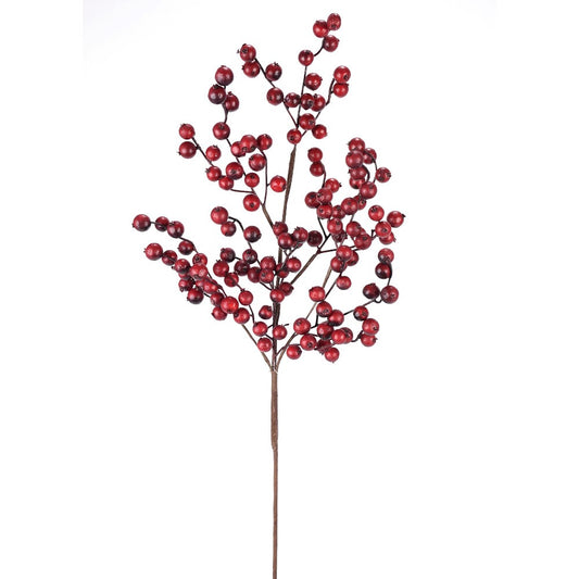 Vara Berry 29"